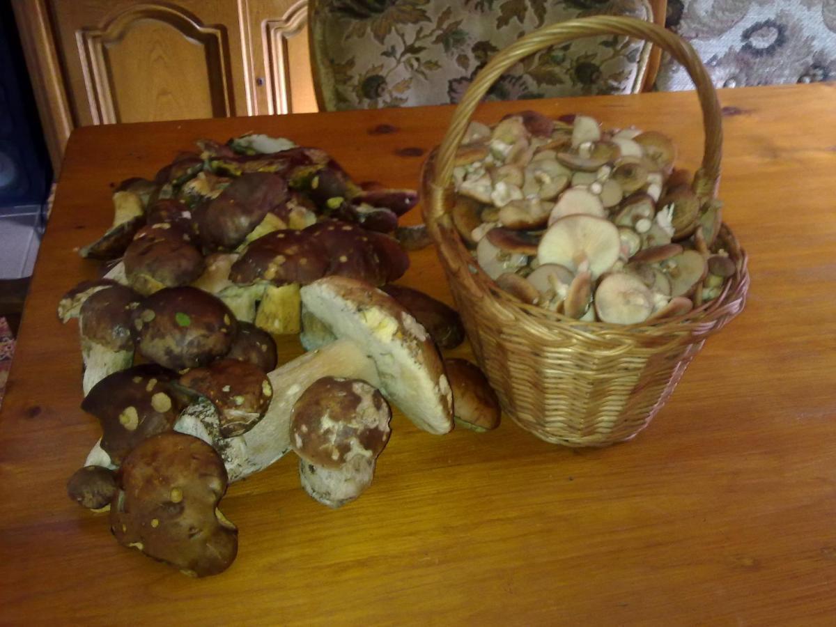 Krolikowka Stronie Śląskie 외부 사진