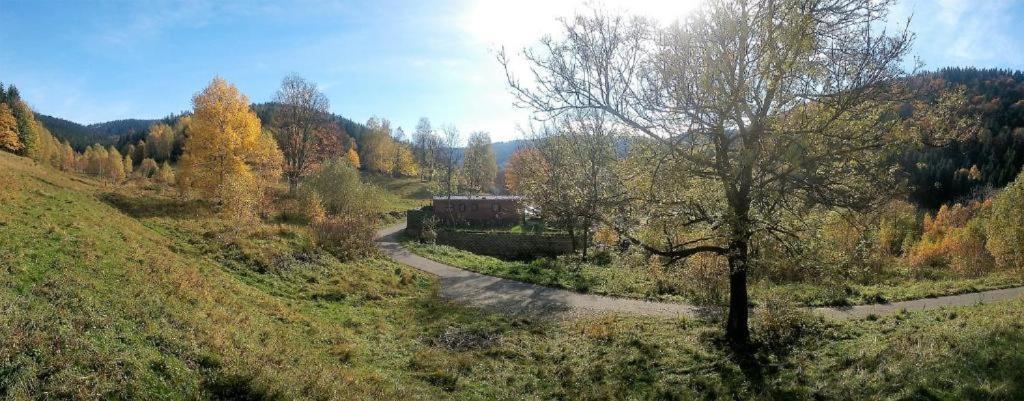 Krolikowka Stronie Śląskie 객실 사진
